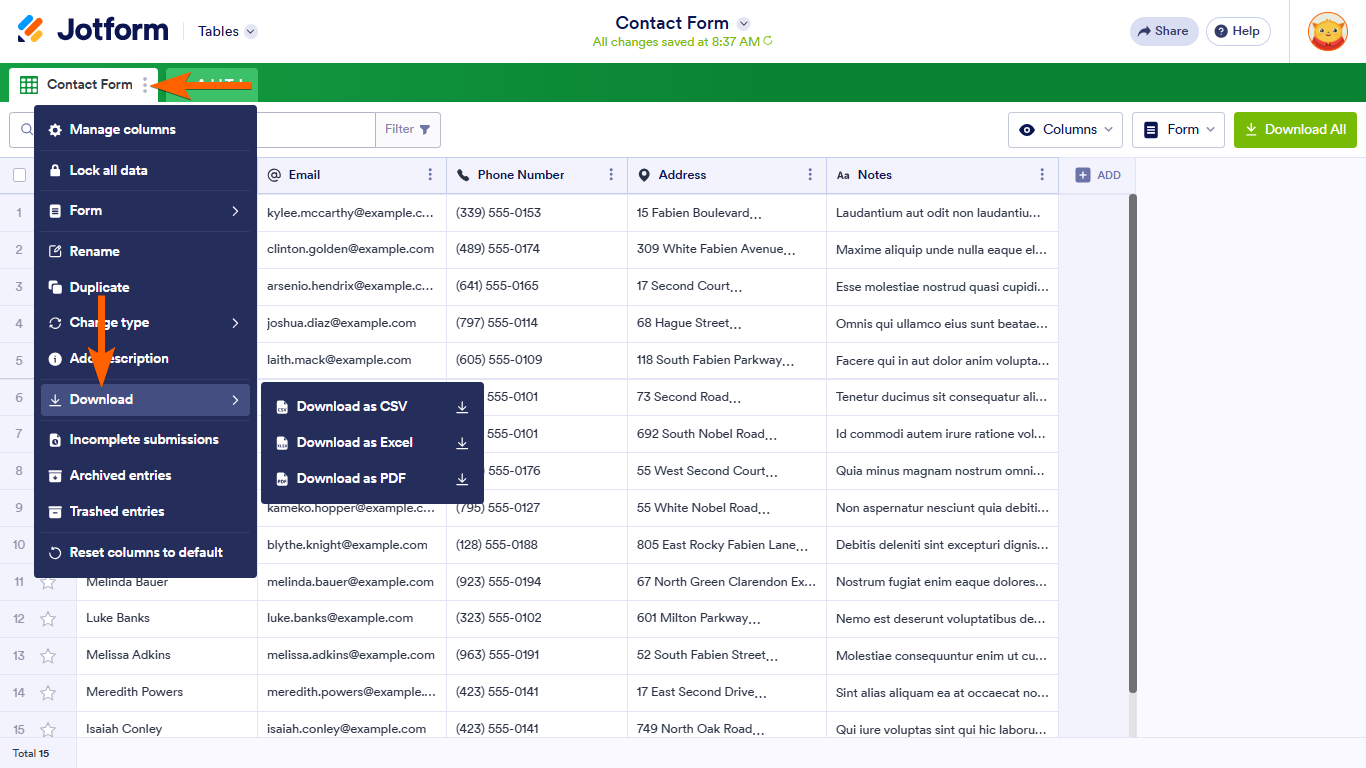 How to Export Your Form Data to Excel