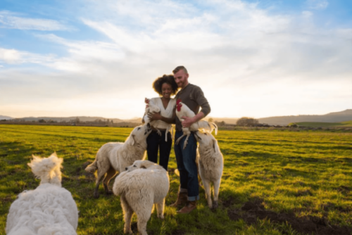 Learn How an Organic Farm Uses Jotform for Customer Orders