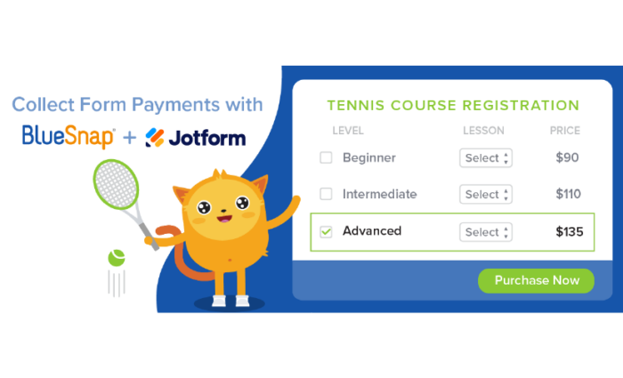 New Integration: Collect Form Payments with BlueSnap and Jotform