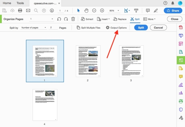 How to Split PDF Pages into Separate Files 
