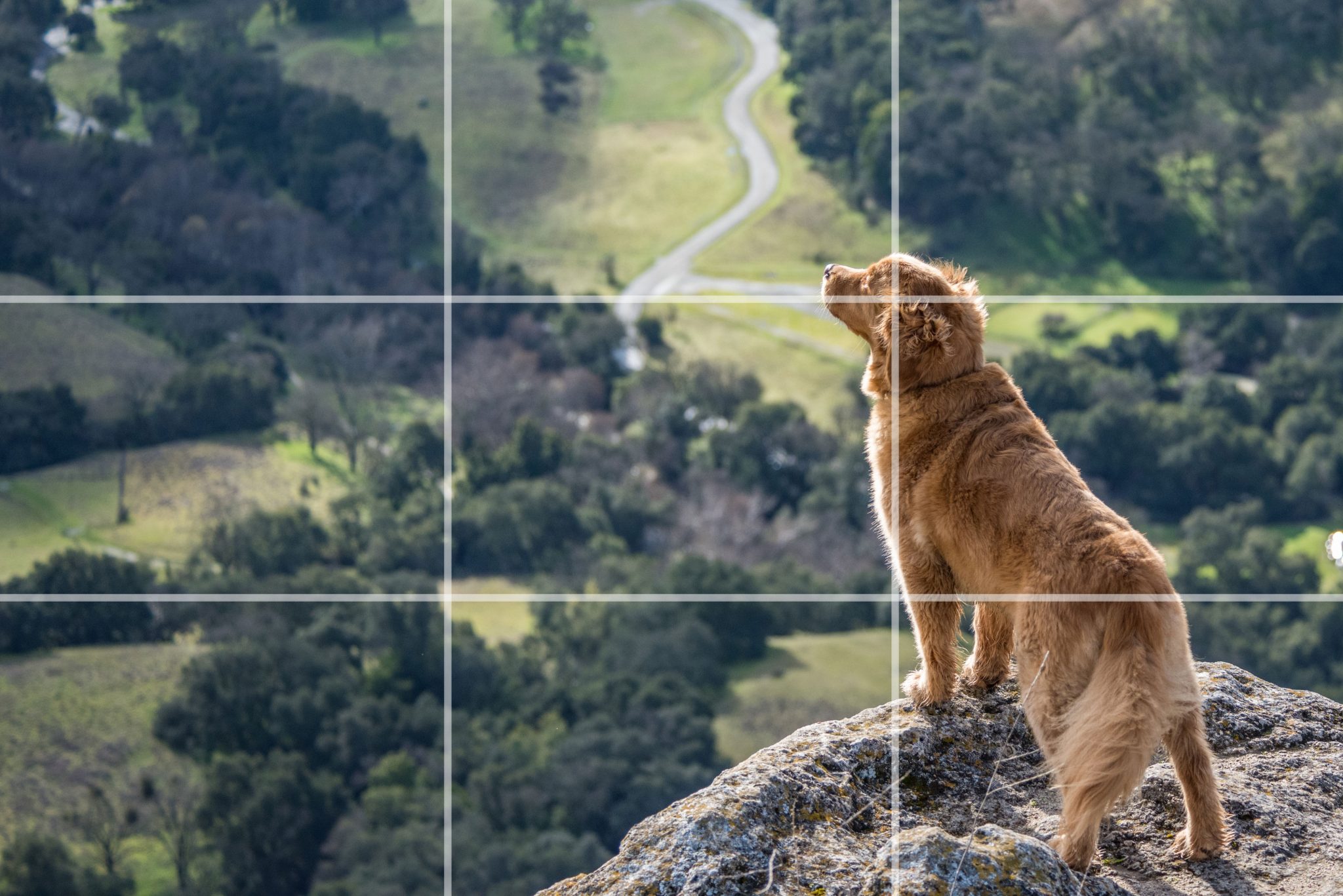 Rule Of Thirds Photography Comparison
