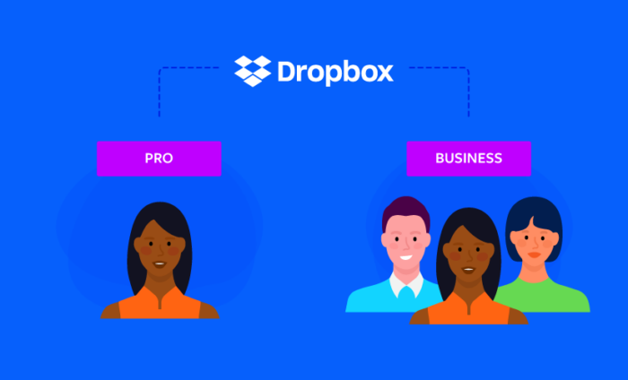 Dropbox Pro vs Dropbox Business