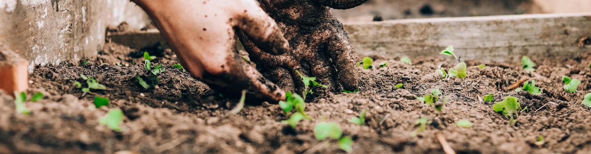 How to start a CSA