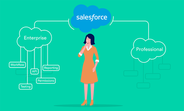 download vs professional vs enterprise