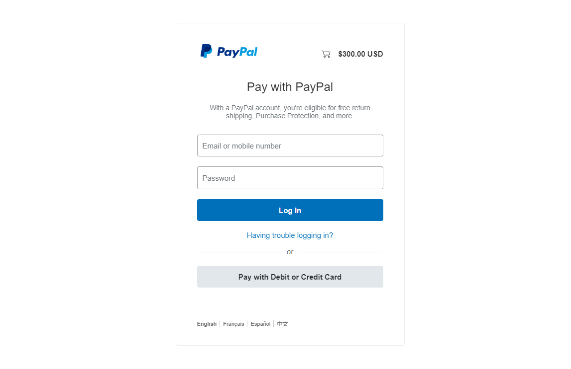 paypal-payment-options.png