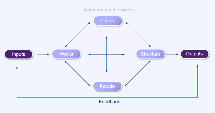 Nadler-Tushman model