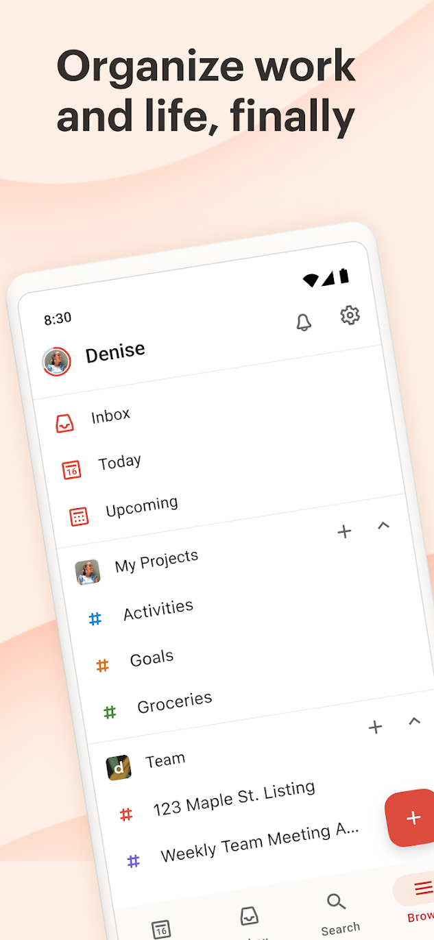 User Interface of Todoist