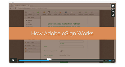See How eSign Widget Works video